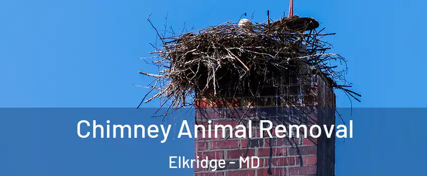  Chimney Animal Removal Elkridge - MD