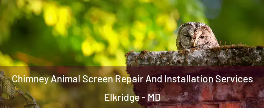  Chimney Animal Screen Repair And Installation Services Elkridge - MD