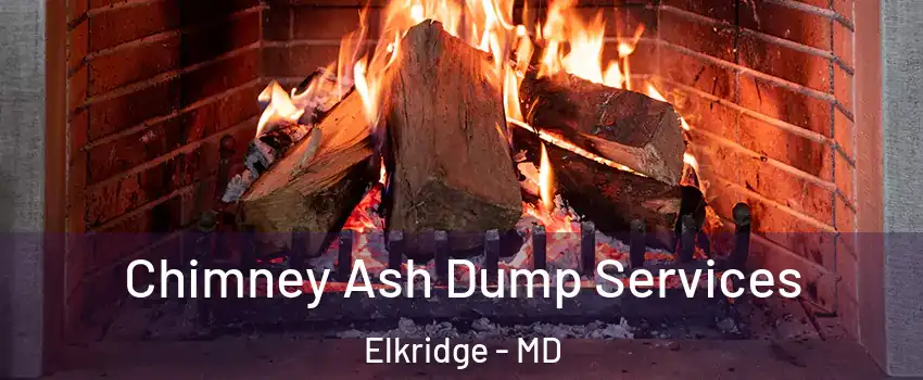  Chimney Ash Dump Services Elkridge - MD