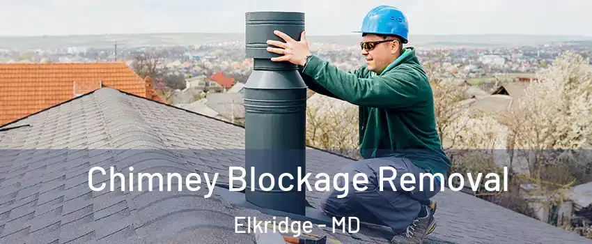  Chimney Blockage Removal Elkridge - MD