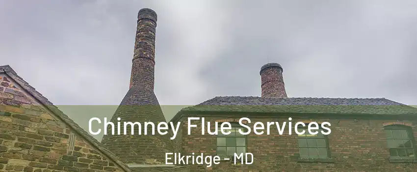  Chimney Flue Services Elkridge - MD
