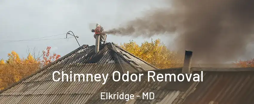  Chimney Odor Removal Elkridge - MD