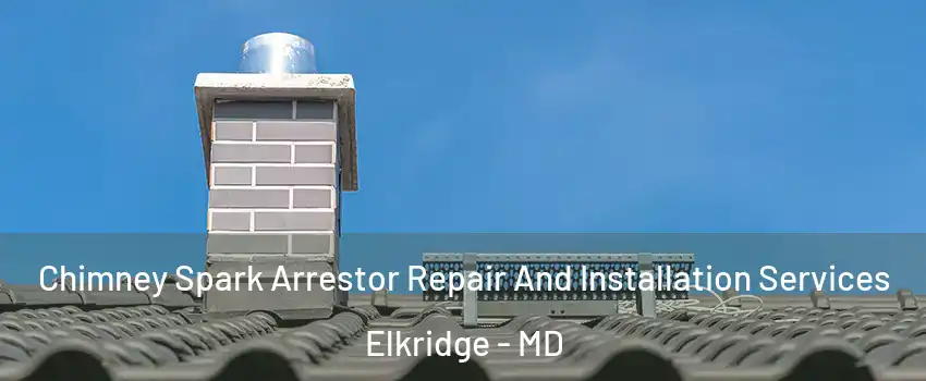  Chimney Spark Arrestor Repair And Installation Services Elkridge - MD