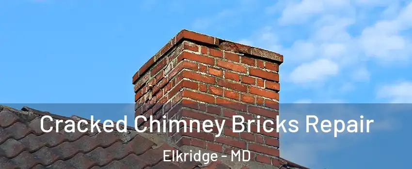  Cracked Chimney Bricks Repair Elkridge - MD