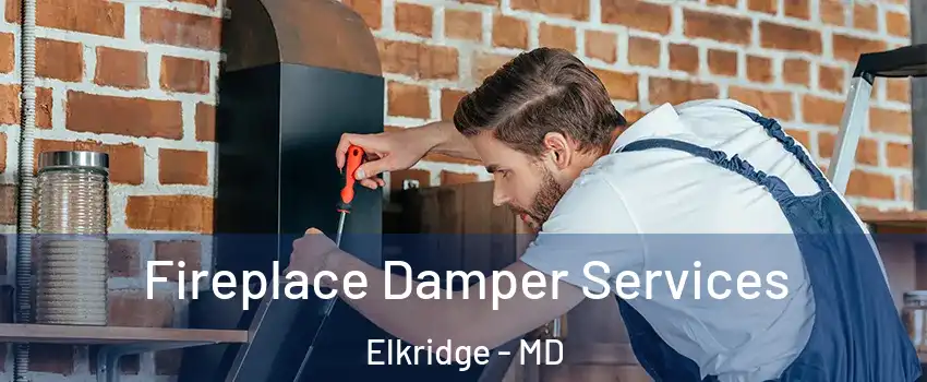  Fireplace Damper Services Elkridge - MD