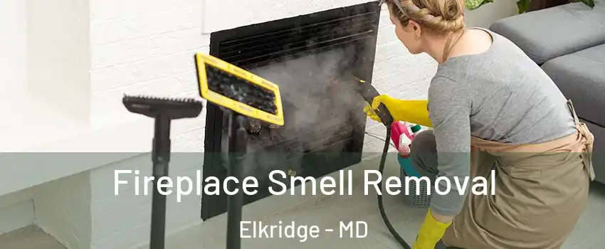  Fireplace Smell Removal Elkridge - MD