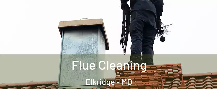  Flue Cleaning Elkridge - MD