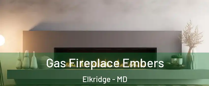  Gas Fireplace Embers Elkridge - MD