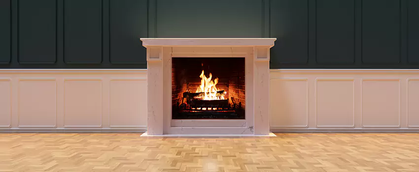 Napoleon Electric Fireplaces Inspection Service in Elkridge, Maryland