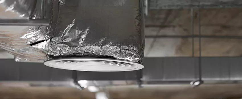 Signs of Dust Accumulation in Vents in Elkridge, MD