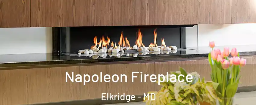  Napoleon Fireplace Elkridge - MD