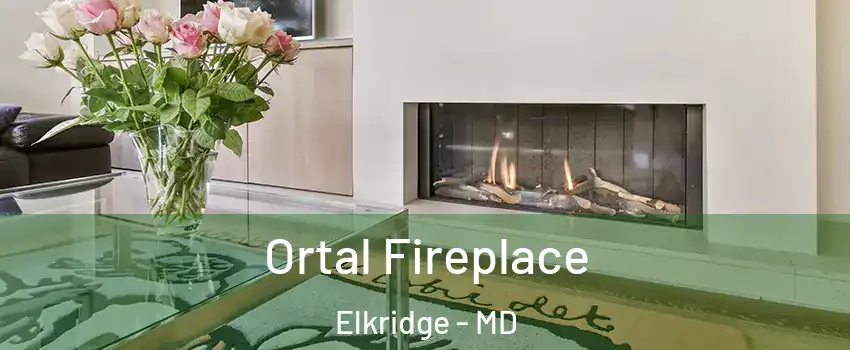  Ortal Fireplace Elkridge - MD