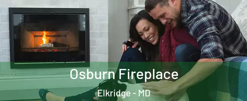  Osburn Fireplace Elkridge - MD